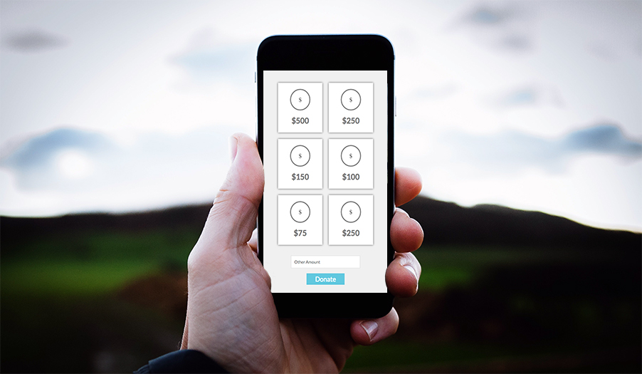 online-auctions-mobile-bidding-raises-money