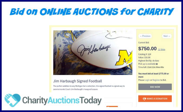 Online Auctions for Fundraising