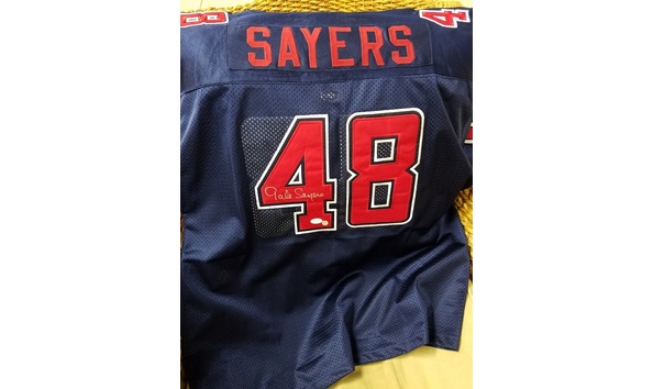 Online auction gale sayers jersey