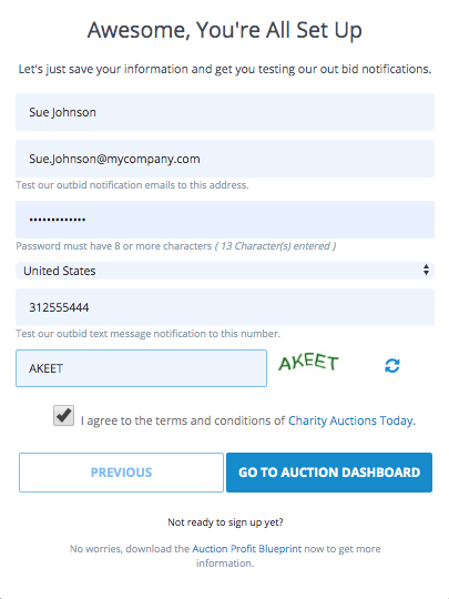 online-auctions-set-up