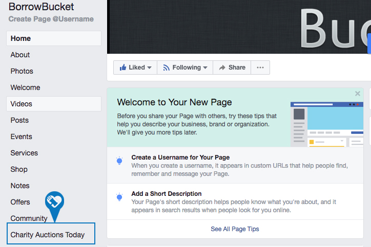 How to add my auction to a Facebook Page5