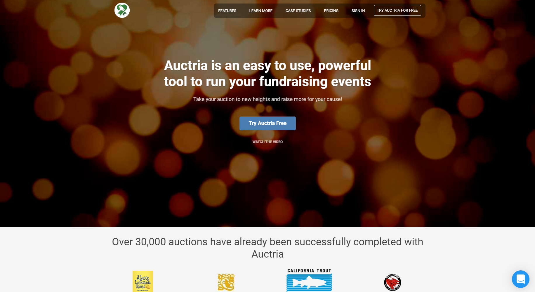 Online-auctions-auctria-website
