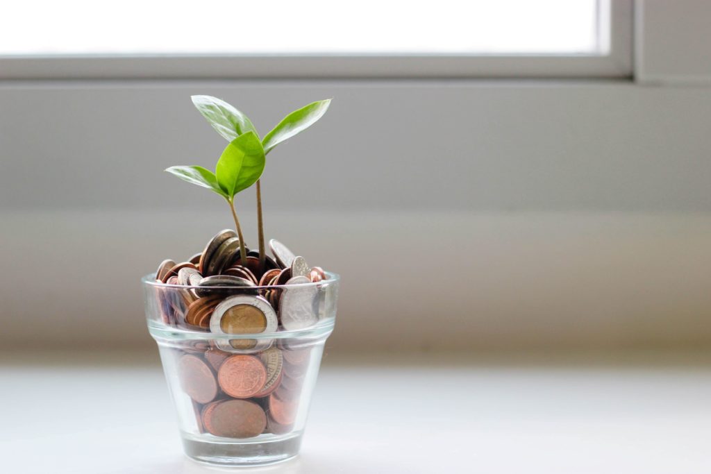 plant growing out of pot of coins