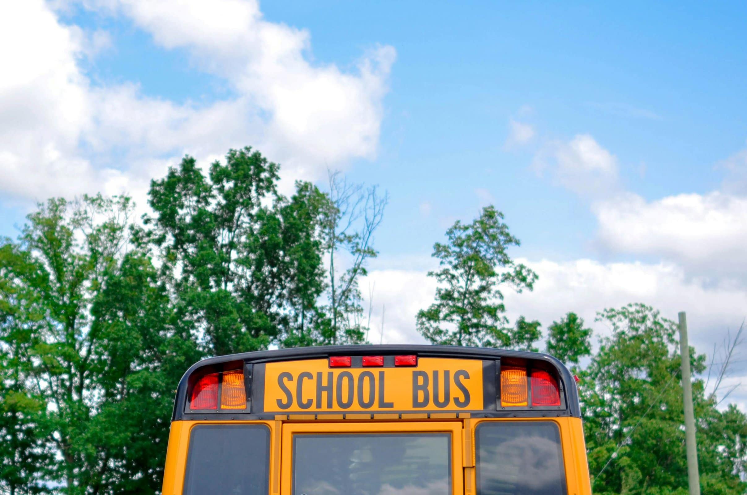 school bus with trees and sky