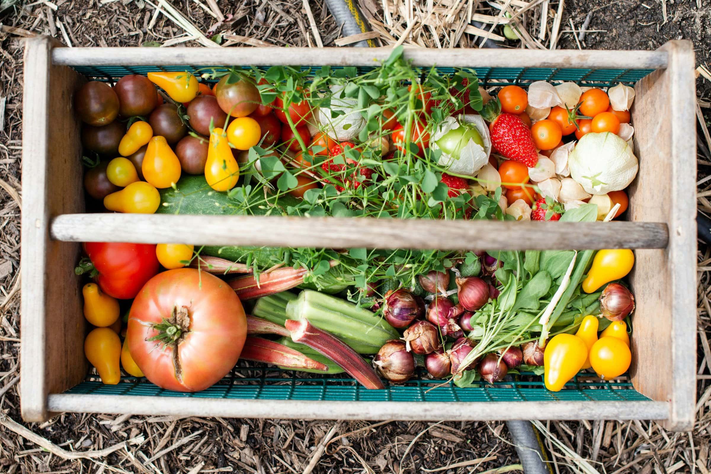 produce basket