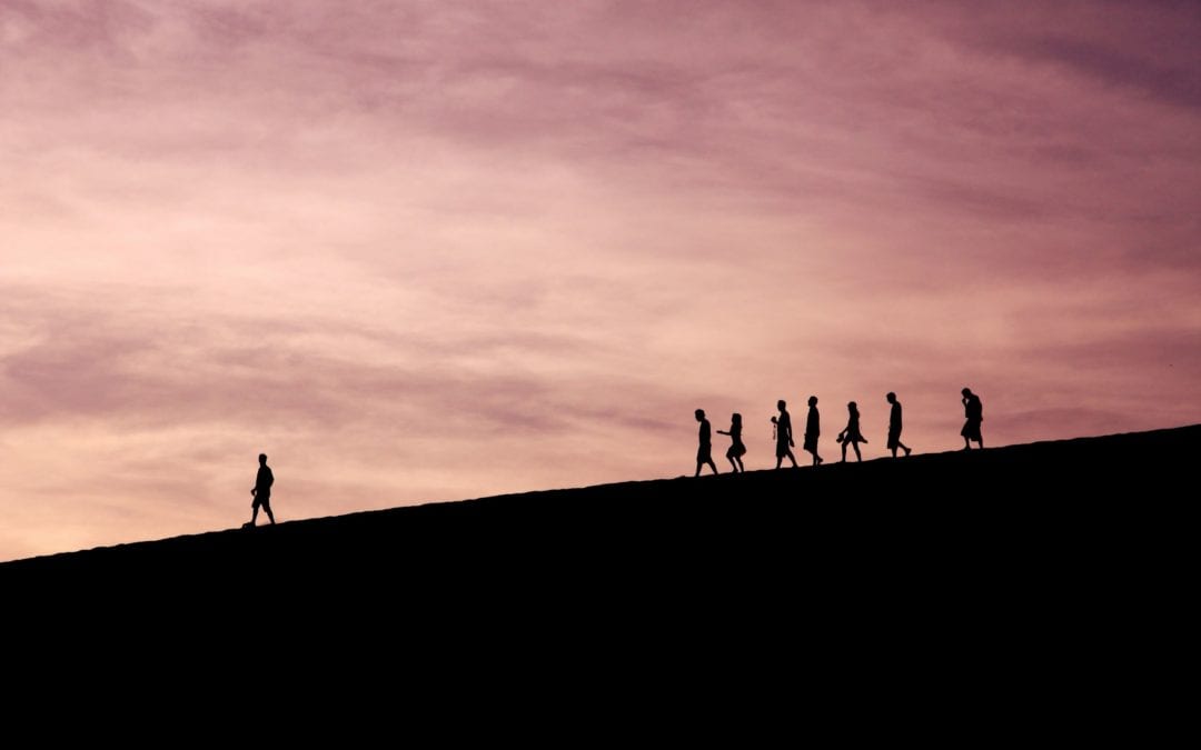 Effective Nonprofit Leadership Styles